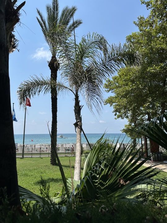 Gastro Side Star Elegance