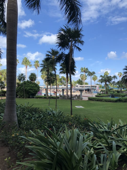 Gartenanlage Hotel Riu Palace Peninsula