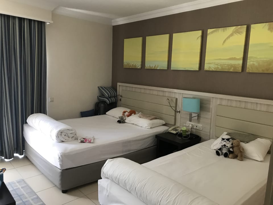 Zimmer Papillon Belvil