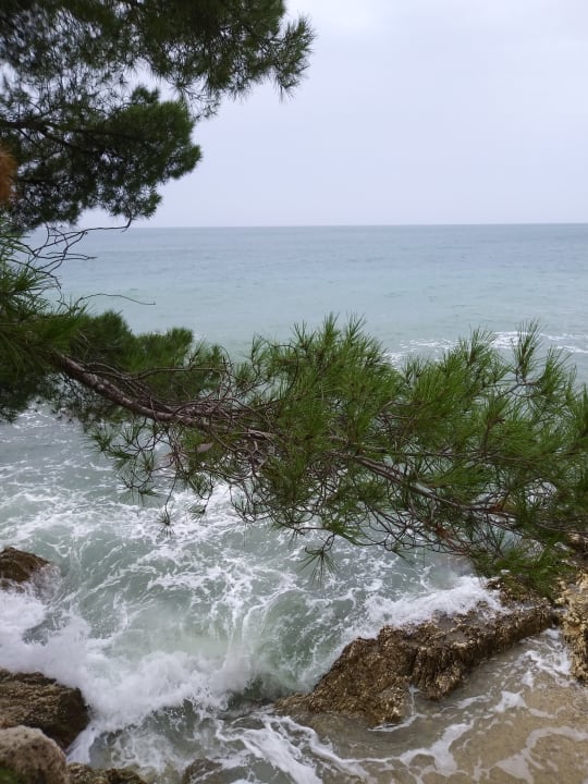 Strand Valamar Parentino Hotel