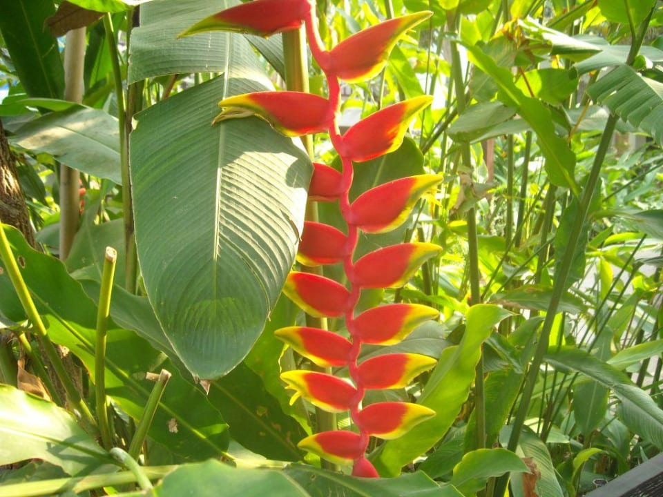 Woodlands Woodlands Hotel & Resort