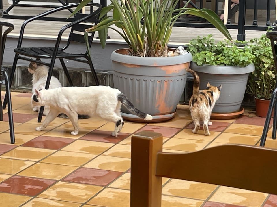 Gastro Hotel Anthoula Village