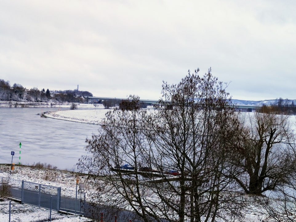 Ausblick AMEDIA Hotel Dresden Elbpromenade