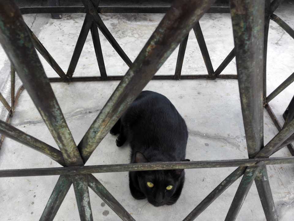 Sonstiges Cacha Hotel