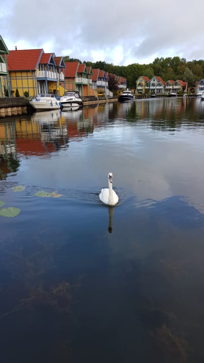 Zimmer Precise Resort Hafendorf Rheinsberg