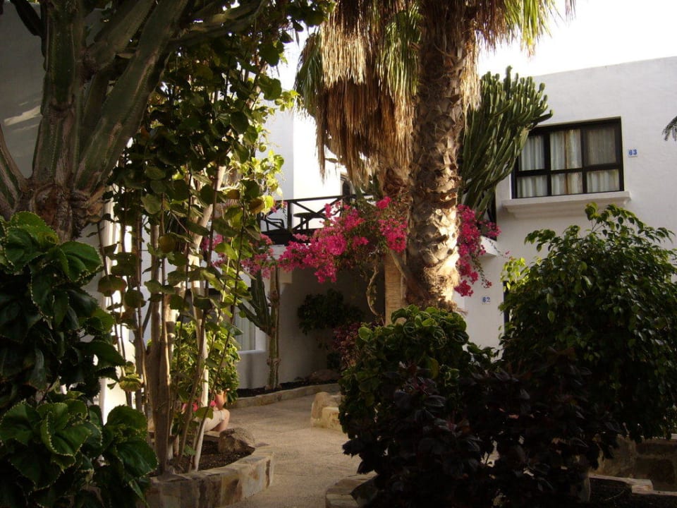 Alles schön grün Bahia Calma Beach