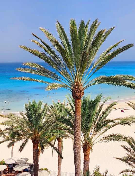 Ausblick Hotel Riu Palace Tres Islas