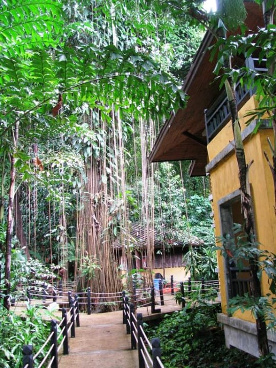 Einer der Laufstege Moracea by Khao Lak Resort