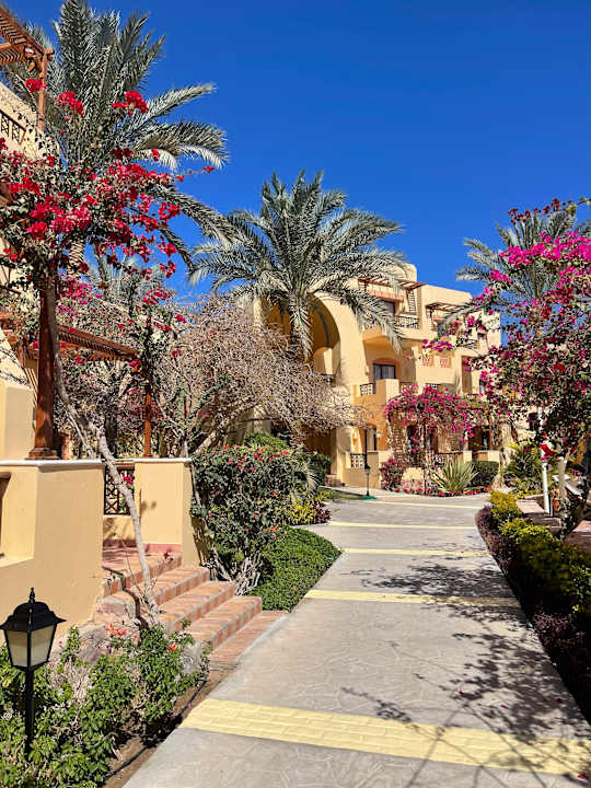 Gartenanlage Steigenberger Coraya Beach - Adults only