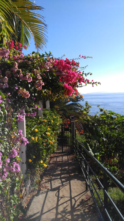 Sonstiges Hotel Madeira Regency Cliff