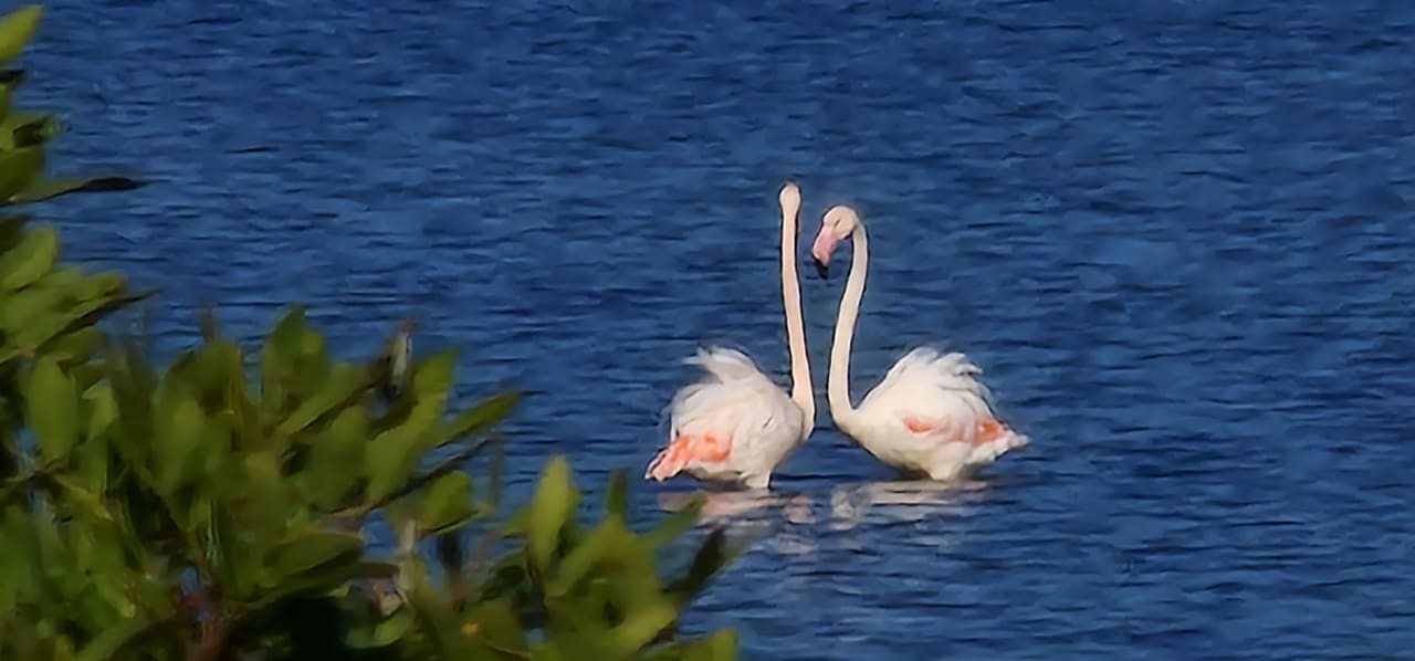 Ausblick Sandy Beach Resort