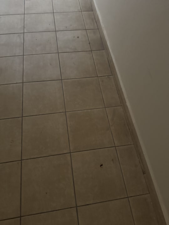 Sonstiges Steigenberger Aqua Magic