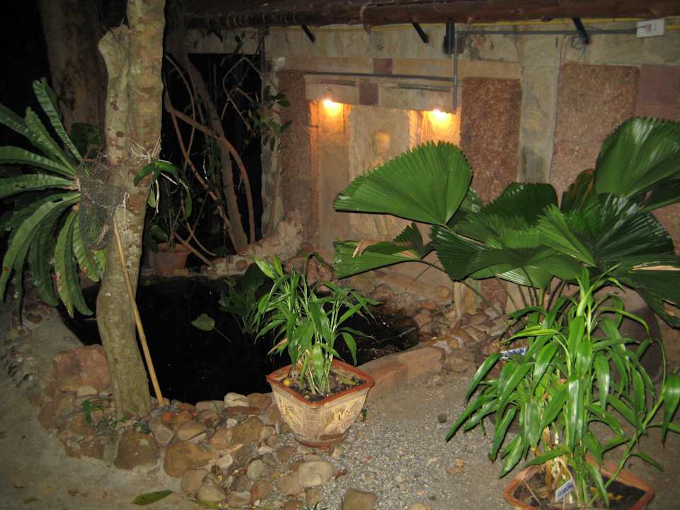 Tropische Vegetation Hotel River Kwai Botanic Garden Resort