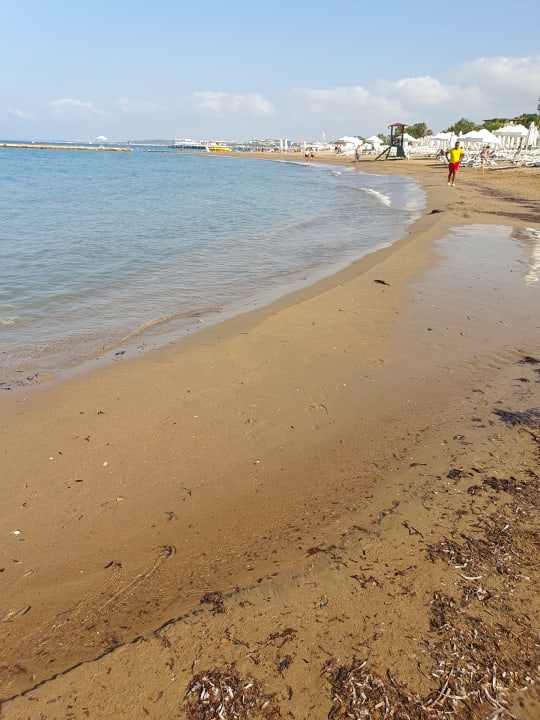 Strand PALOMA Perissia