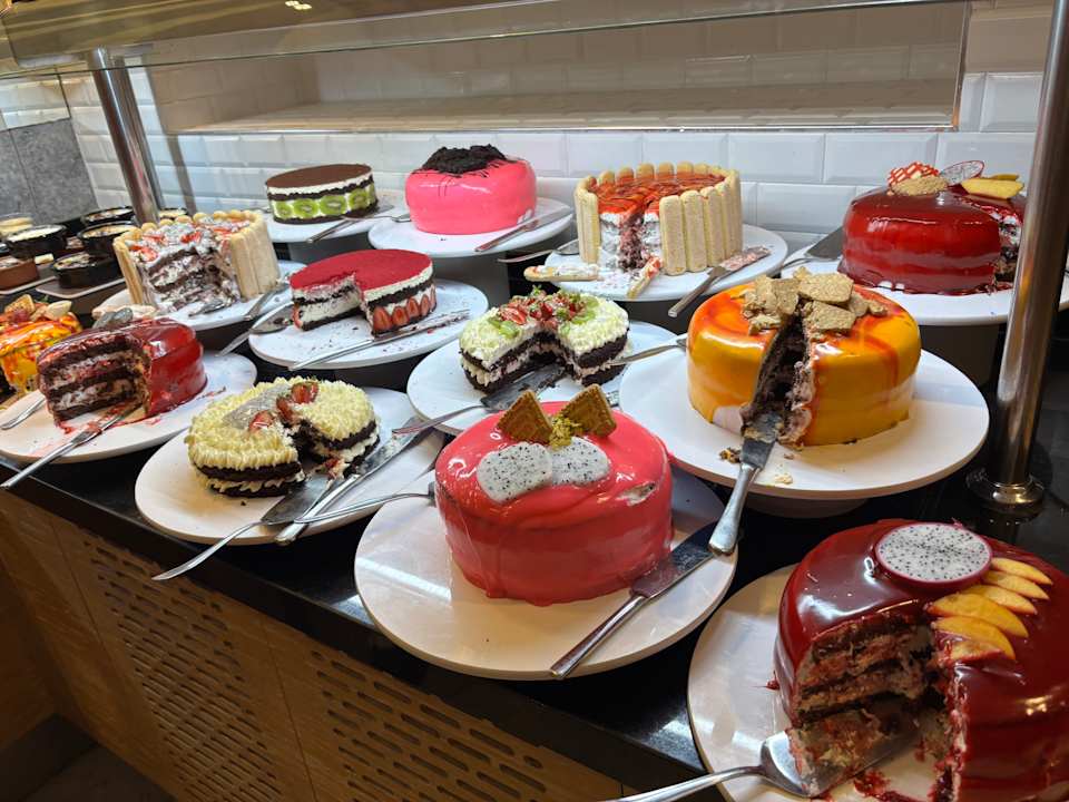 Gastro Seashell Vega