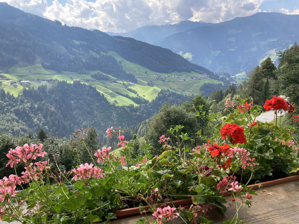 Ausblick Hotel Adamerhof