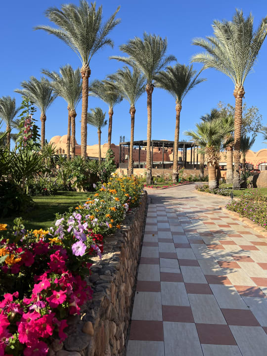 Außenansicht Jaz Makadi Oasis Resort