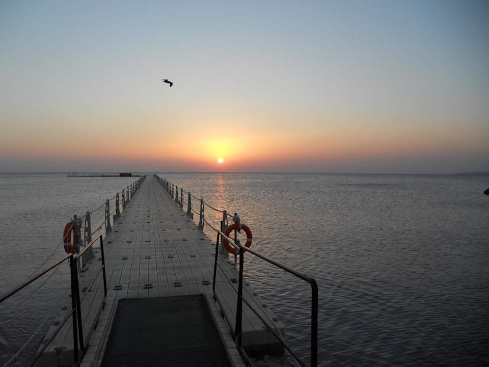 Sonnenaufgang Pickalbatros Palace Resort