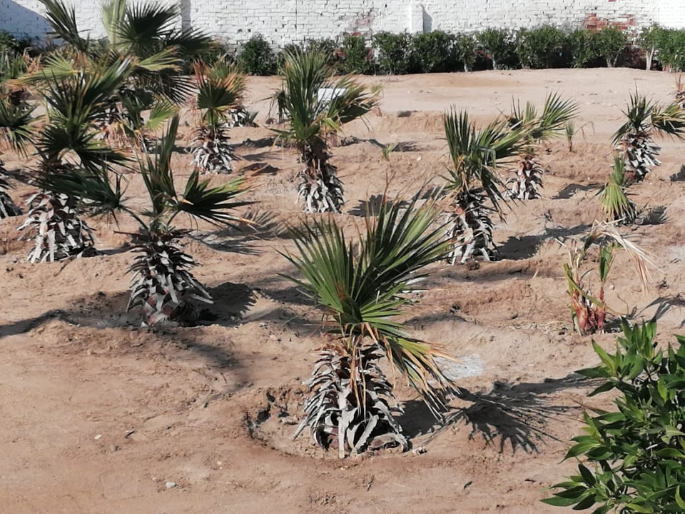 Außenansicht Arabella Azur Resort