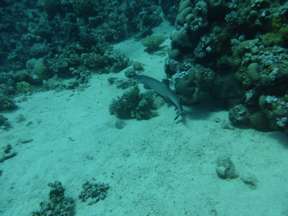 Sport & Freizeit Brayka Bay Resort