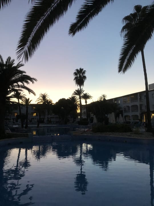 Pool Alcudia Garden Aparthotel