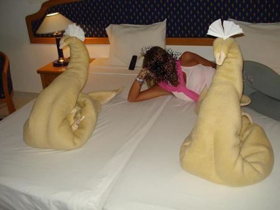 Łabędzie po powrocie z kairu Desert Rose