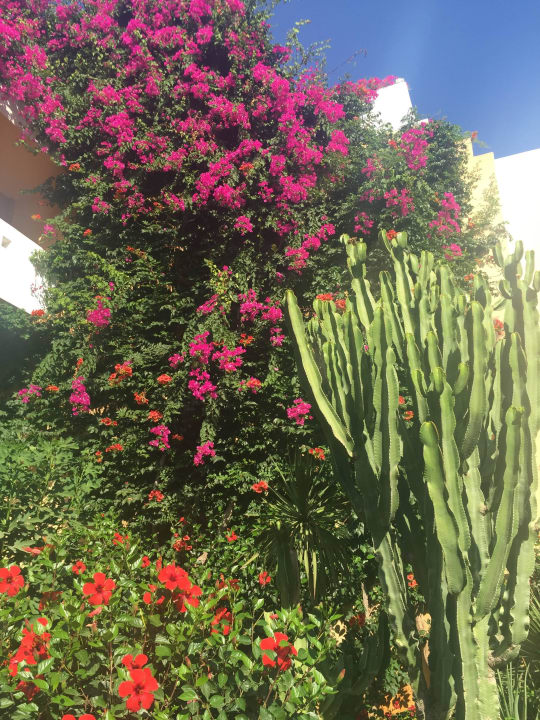 Gebäude in Nähe Restaurant Anissa Beach & Village