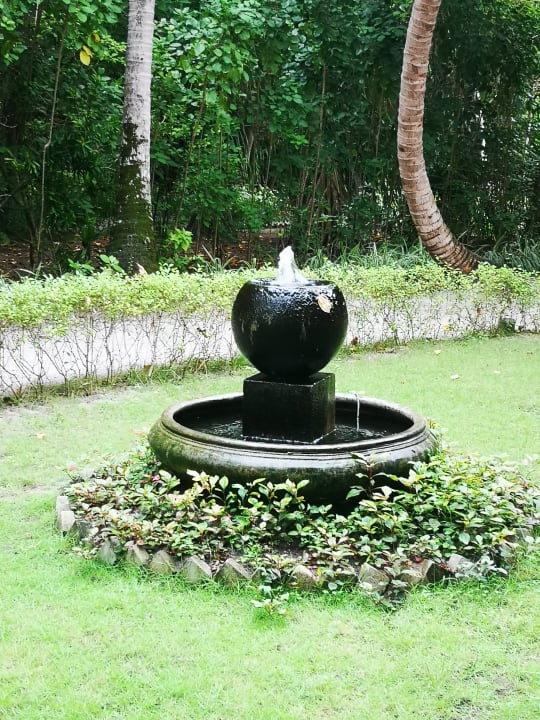 Gartenanlage Adaaran Select Meedhupparu Island Resort - Premium All Inclusive