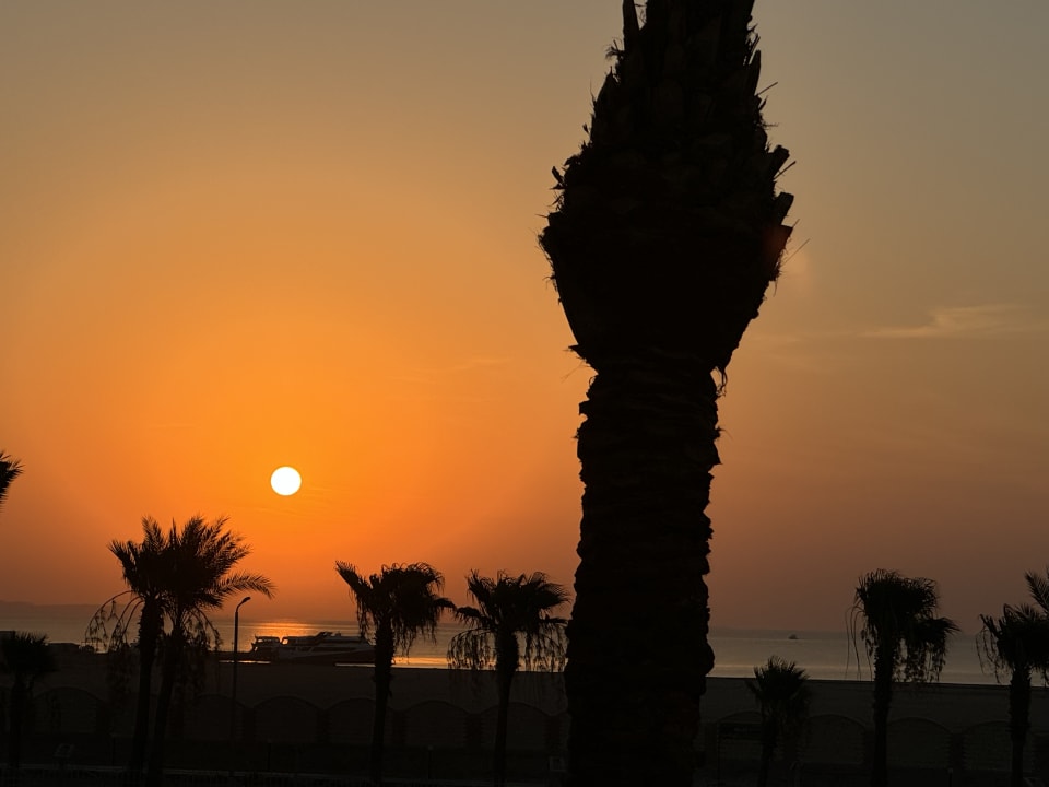 Zimmer Pickalbatros Aqua Blu Resort - Hurghada