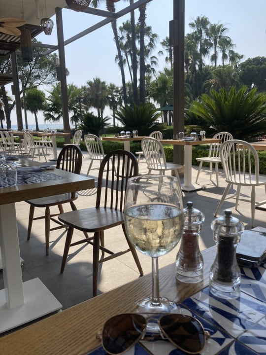 Gastro Acanthus Cennet Barut Collection