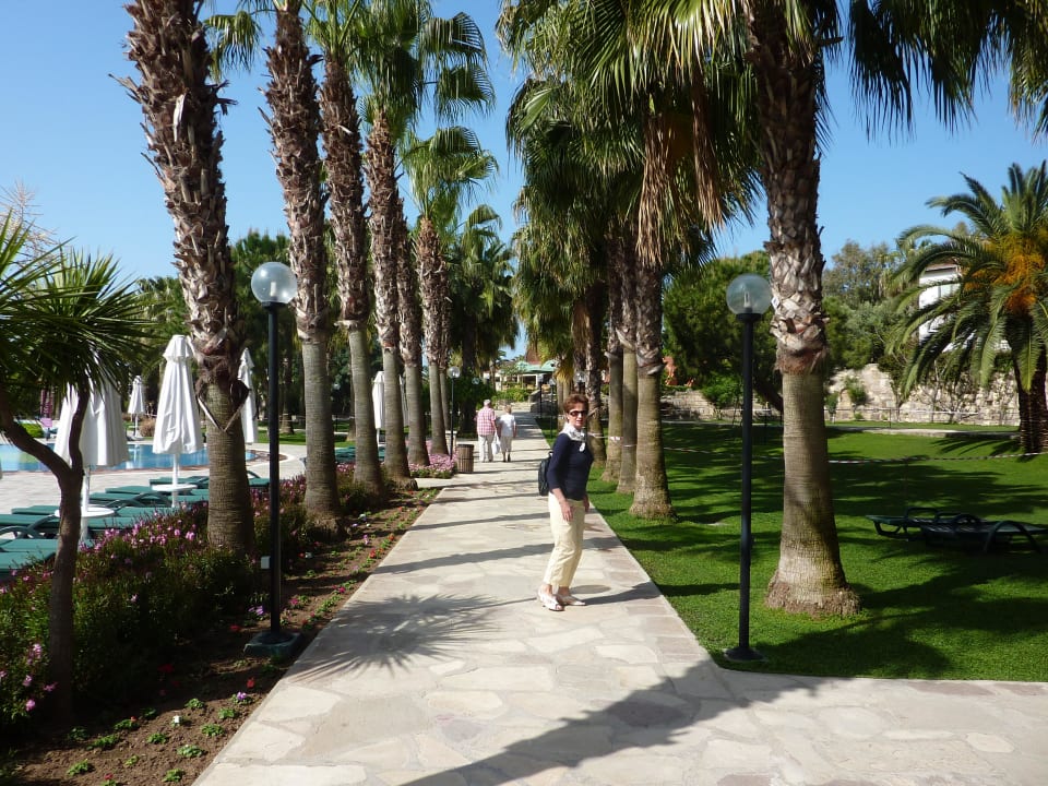 Weg zum Strand Arum Barut Collection