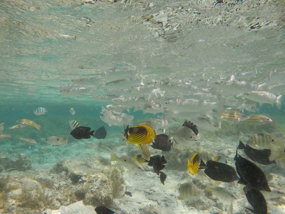 Sport & Freizeit Lazuli Hotel Marsa Alam