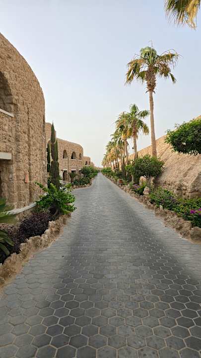 Gartenanlage Pickalbatros Citadel Resort