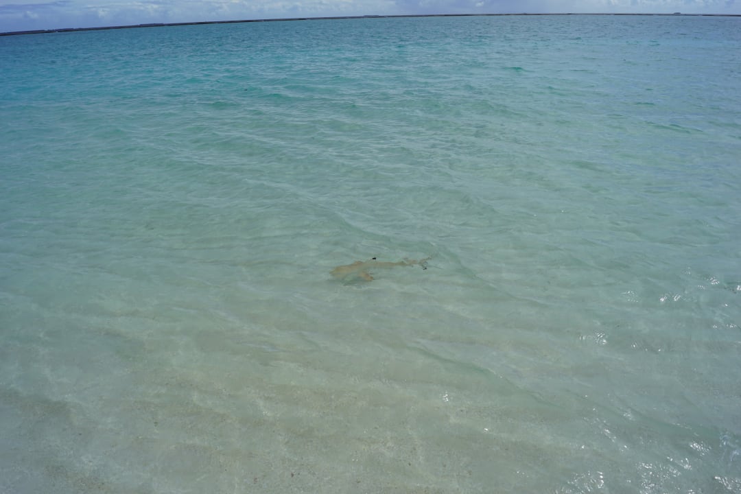 Strand Adaaran Select Meedhupparu Island Resort - Premium All Inclusive