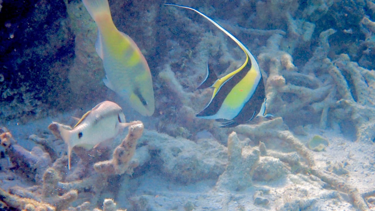 Sport & Freizeit Thulhagiri Island Resort