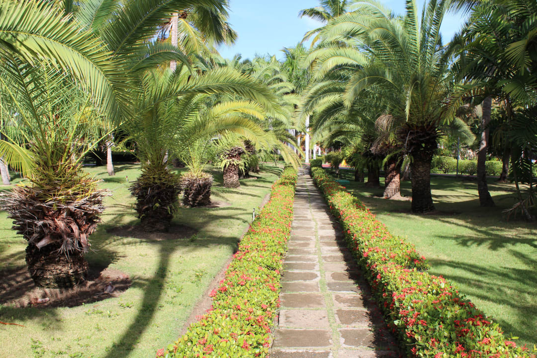 Palladium / The Royal Suites Turquesa TRS Turquesa Hotel - Adults only