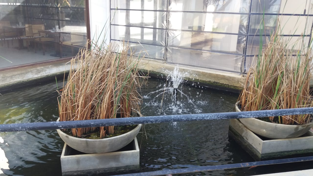 Gastro Club Hotel Dolphin