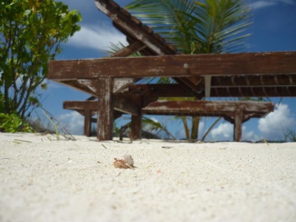 Strand/Liege Villa Park Sun Island