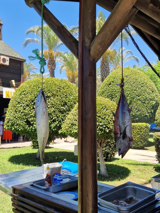 Gastro Sunis Kumköy Beach Resort Hotel & Spa