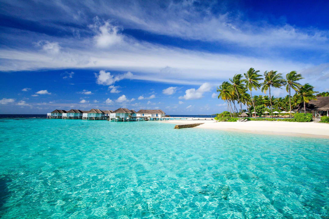 Hotel Beach  Machchafushi Island Resort & Spa Maldives, The Centara Collection