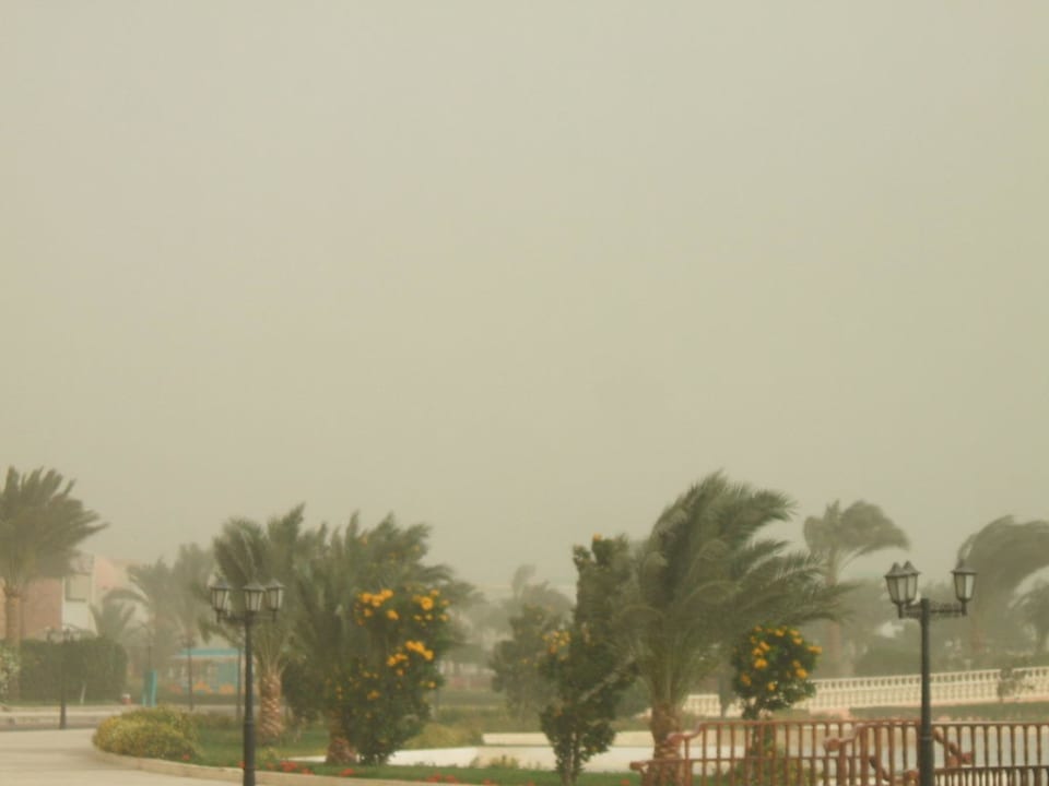 Sandsturm Blend Club Aqua Resort