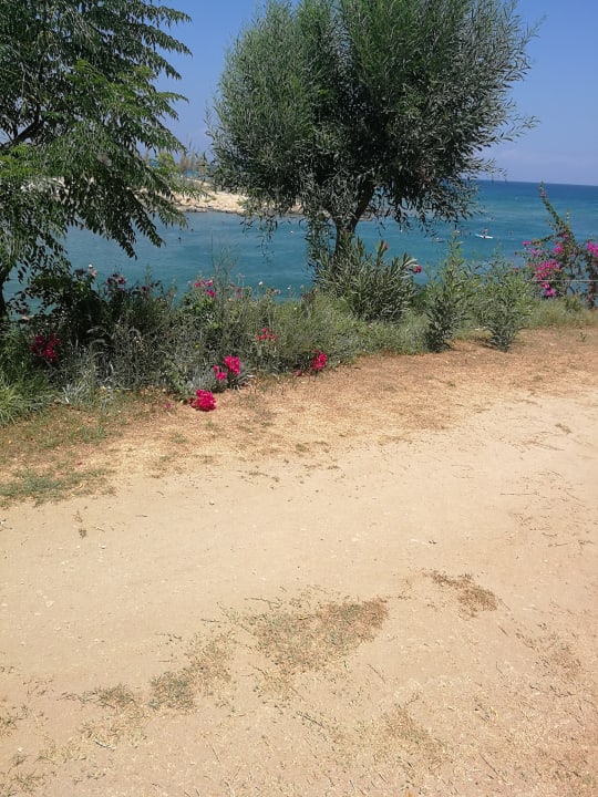 Ausblick Crystal Springs Beach Hotel