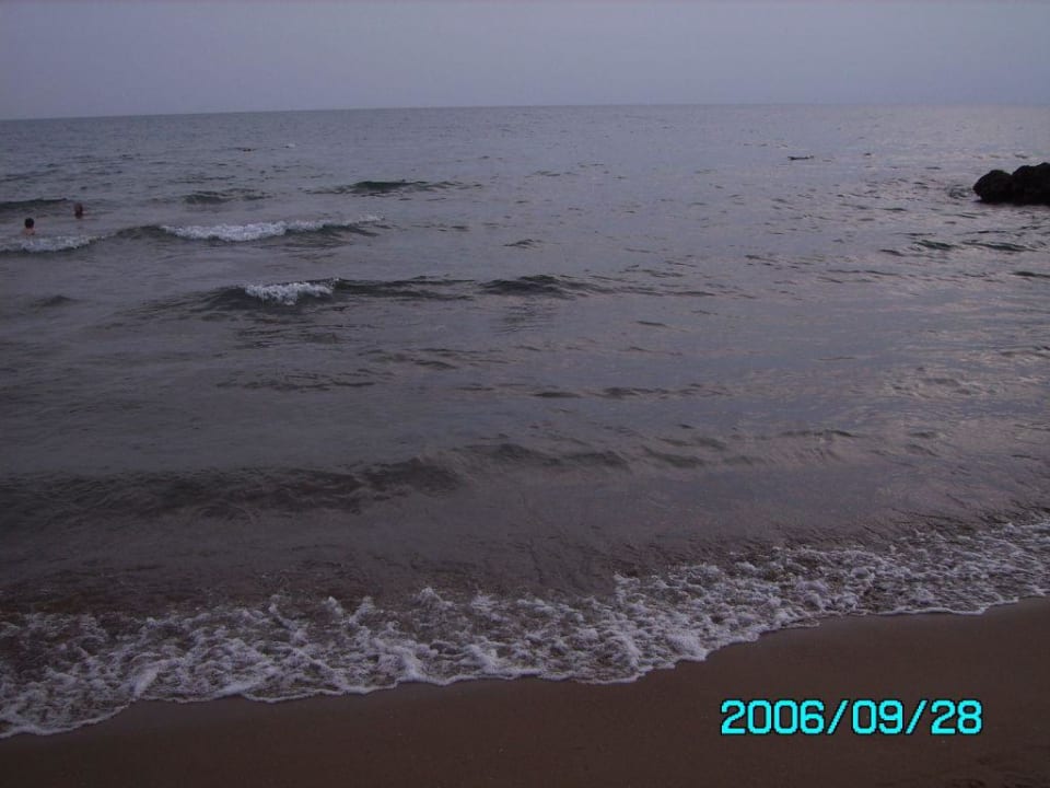 Das Meer sehr Sauber Hotel Orfeus Park