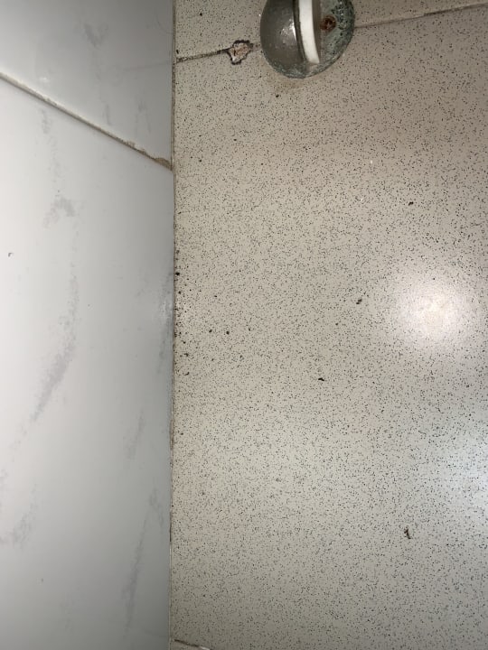 Zimmer Flipflop Cala Romantica