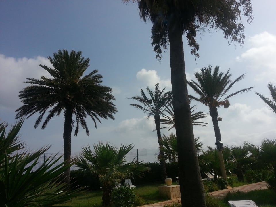 Blick zum Himmel Houda Golf & Beach Club