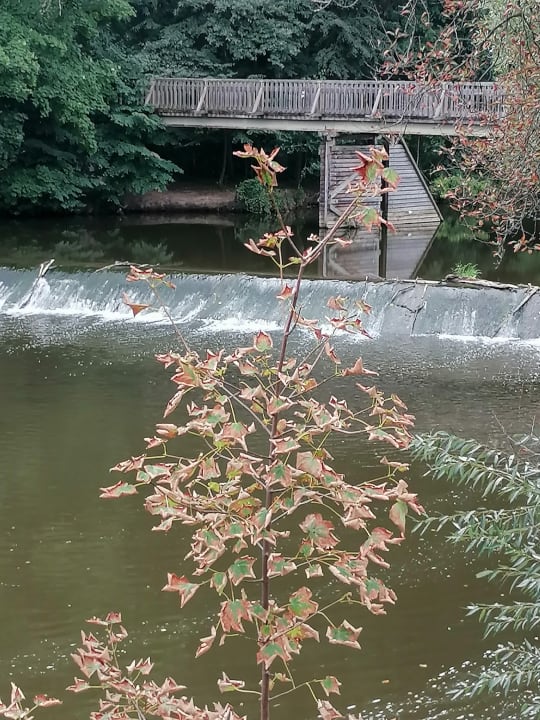 Ausblick JUFA Hotel Waldviertel