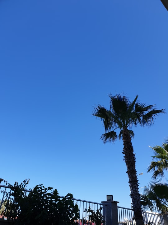 Ausblick Side Alegria Hotel & Spa - Adults only +16