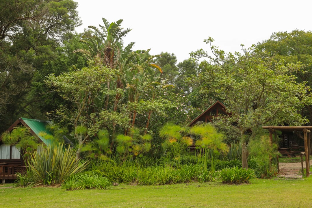 Gartenanlage Hotel Tsitsikamma Lodge