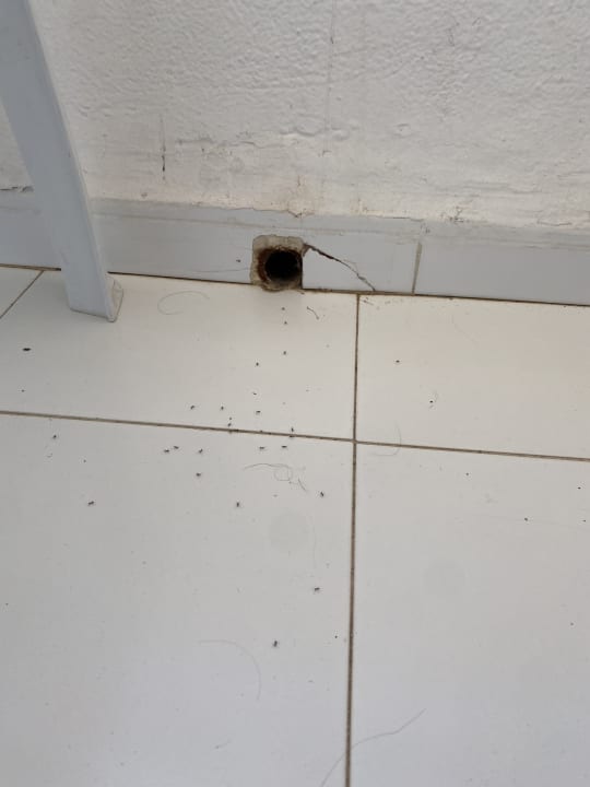 Zimmer Houda Golf & Beach Club