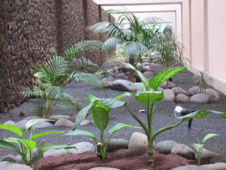 Bepflanzter Lichthof im Flurbereich des Hotels Hipotels La Geria